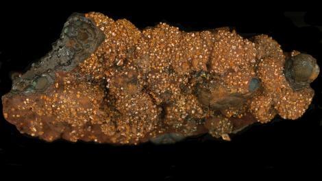 Crystals of orange wulfenite on hematite–goethite matrix from the Whim Creek mine, WA. Specimen is 22 cm long. Western Australia Museum specimen number M178.1985